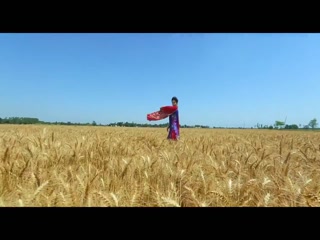 Phulkari Video Song ethumb-011.jpg