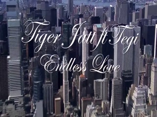 Endless Love Tiger Jatt Video Song