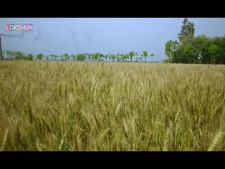 Yodha Sippy Gill Video Song