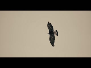 Dade Di Dunali Video Song ethumb-003.jpg