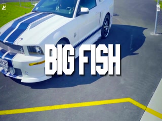 Big Fish Dilawar Mander Video Song