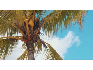 Layeeah Video Song ethumb-008.jpg
