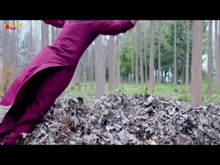 Navi Navi Video Song ethumb-008.jpg