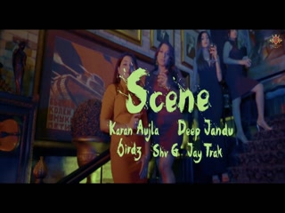 Scene video
