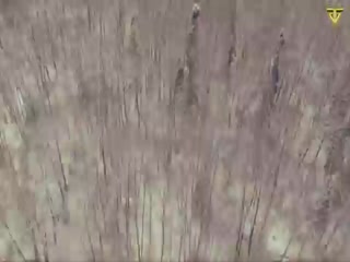Winnipeg Video Song ethumb-003.jpg