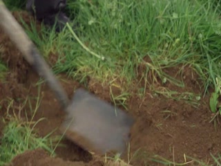Cartel Video Song ethumb-003.jpg